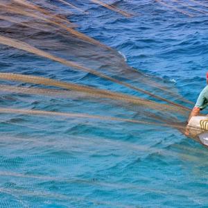 Summer Photo School at Aegean