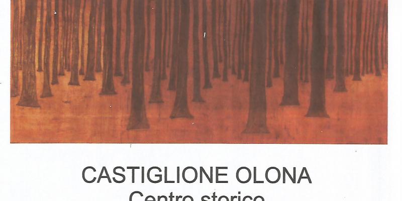 Mostra personale  Marco Michelon