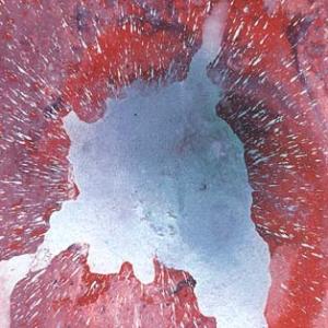 FERON- Ferruccio Rontini junior