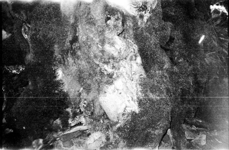 Residenza D'artista - aperte le selezioni 