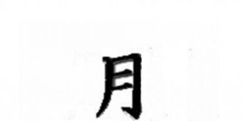 "Neve di carne" Blog di Cara Polvere