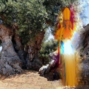 "Potentia divina gratia In Urlo d’Ulivo”di Rosa Didonna "Potentia divina gratia In Urlo d’Ulivo”di Rosa Didonna