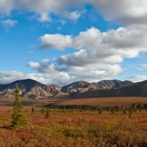 USA. Alaska 2/3. Confini e oltre