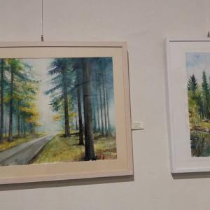 DI COLORE E D'ACQUA al Palazzo Ducale di Revere (Mantova) si è conclusa alla grande!