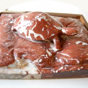 Altra Natura a Revere (mn)