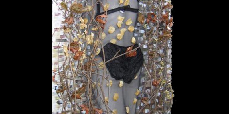 CORPUS DOMINAE CORPUS DOMINAE