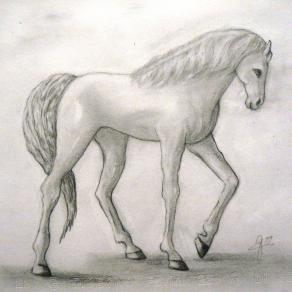 IL MIO CAVALLO ( di carta )