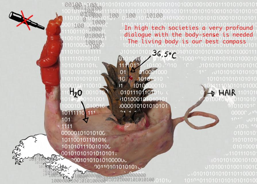 body compass body compass