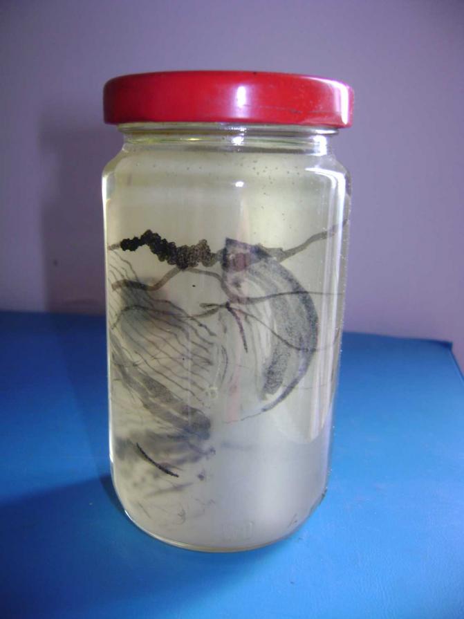 Archivi 1995_ paesaggio ad olio