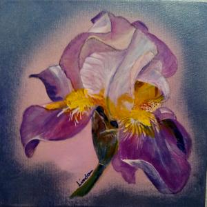 *** SONNO *** SOÑNO  ***  