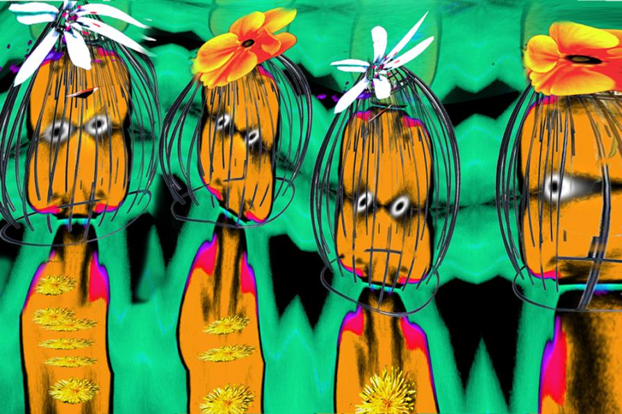 quattro arancioni......