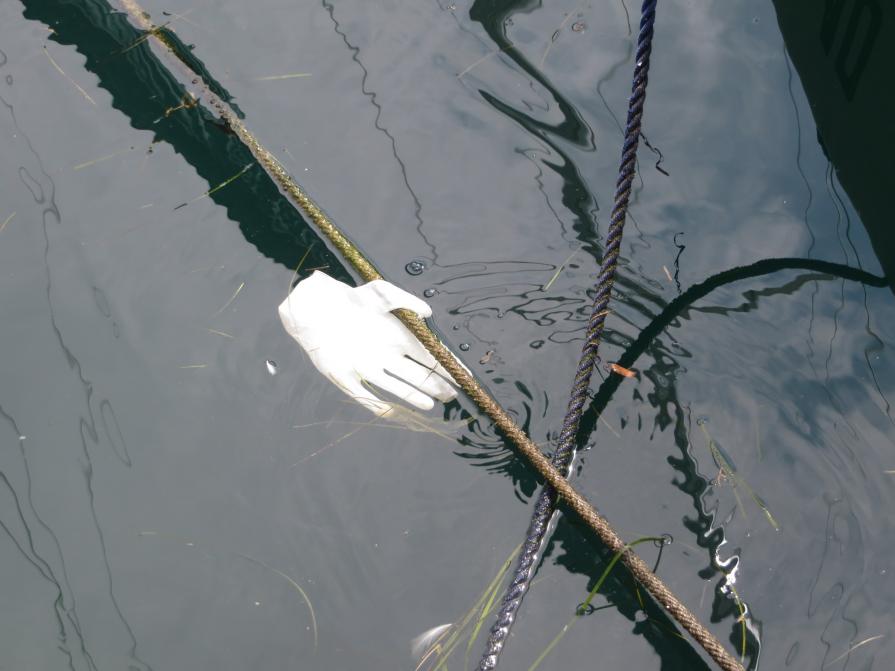 "Where's the pianist?"