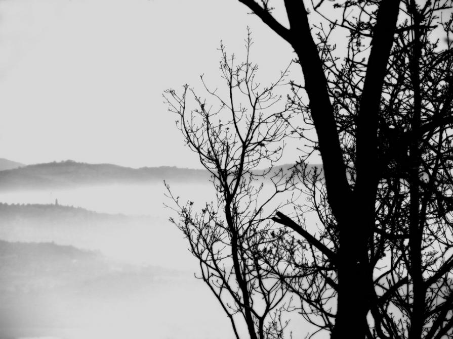 L'emozione di non chiedere nulla 