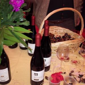 Interviste per la Festa de Vino Novello e del Beaujolais Nouveau al Grenoble, Napoli