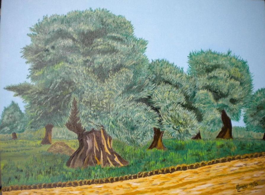 LG 0287 - Ulivi del Salento - Puglia