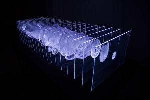 Wuttin Chansataboot - The Metamorphosis of Self and Identity in Digital Era