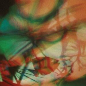 I colori della biodiversità -2015