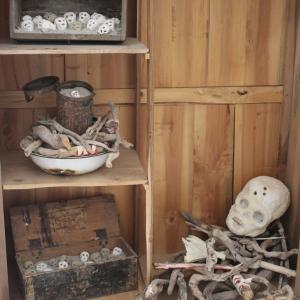 Gli uomini sono stupidi Gli uomini sono stupidi