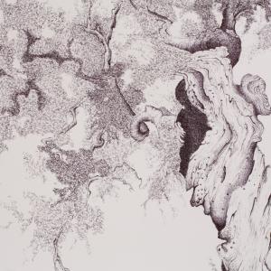 a U L I V O o f R 7 ®