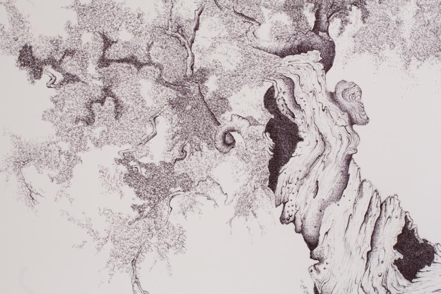 a U L I V O o f R 7 ®