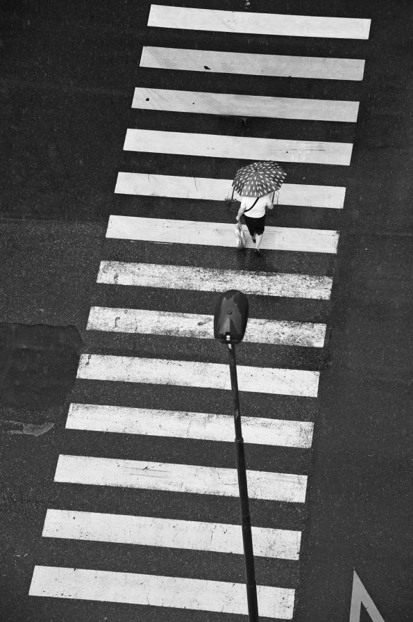 Crossing the rain - Temporary solitudes