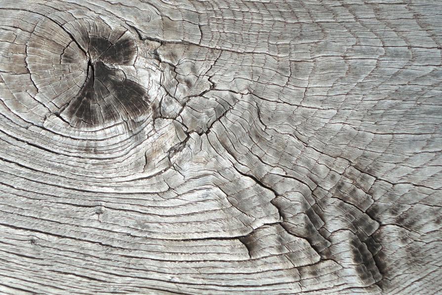 Utopia contemporanea12