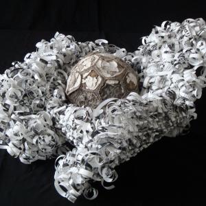 IL CAVOLO PERMANENTE DI WILSON