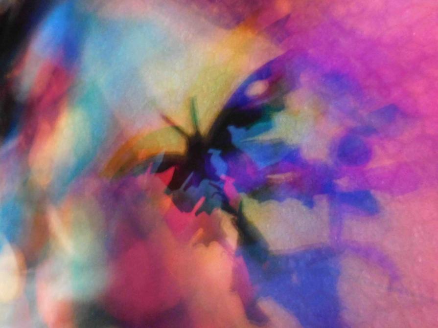 i colori della biodiversità