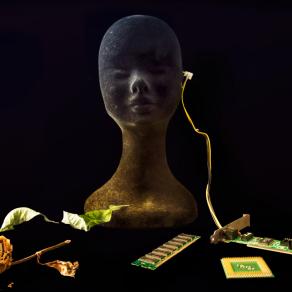 Battaglia Delle Identitità