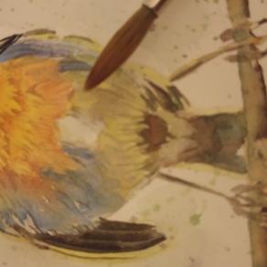 Ricomincio daccapo...