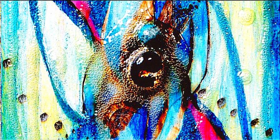 Da "I segreti del mare" : - Correnti marine - (particolare)