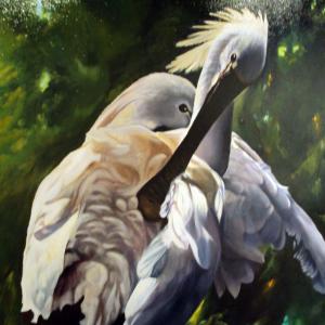 ZOO D'ARTE, L'ARCA DI NOè ALLA GALLERIA ARTEARTE DI MANTOVA