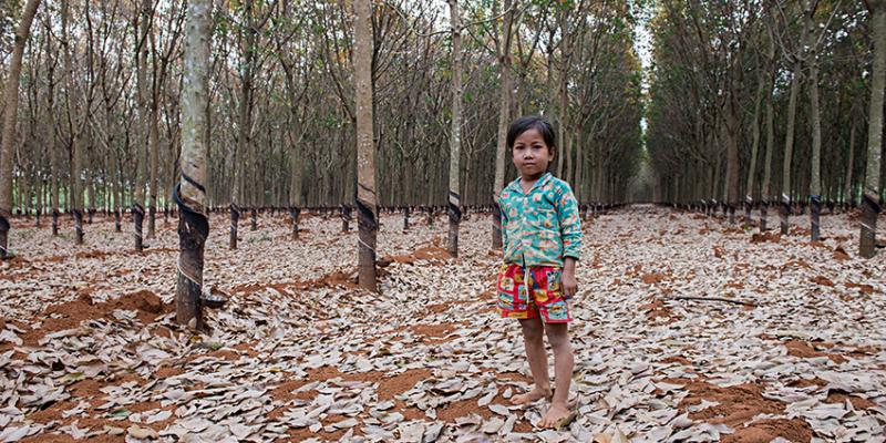 Abbandoni - Patrizia Mori. Museo di San Francesco Abbandoni - Patrizia Mori. Museo di San Francesco