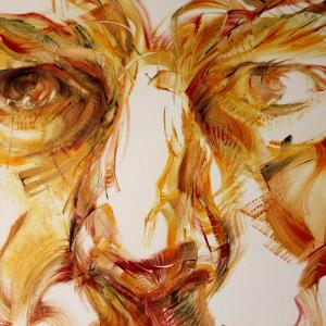 L'IMMAGINE SENZA TEMPO alla Meridiana (MO)