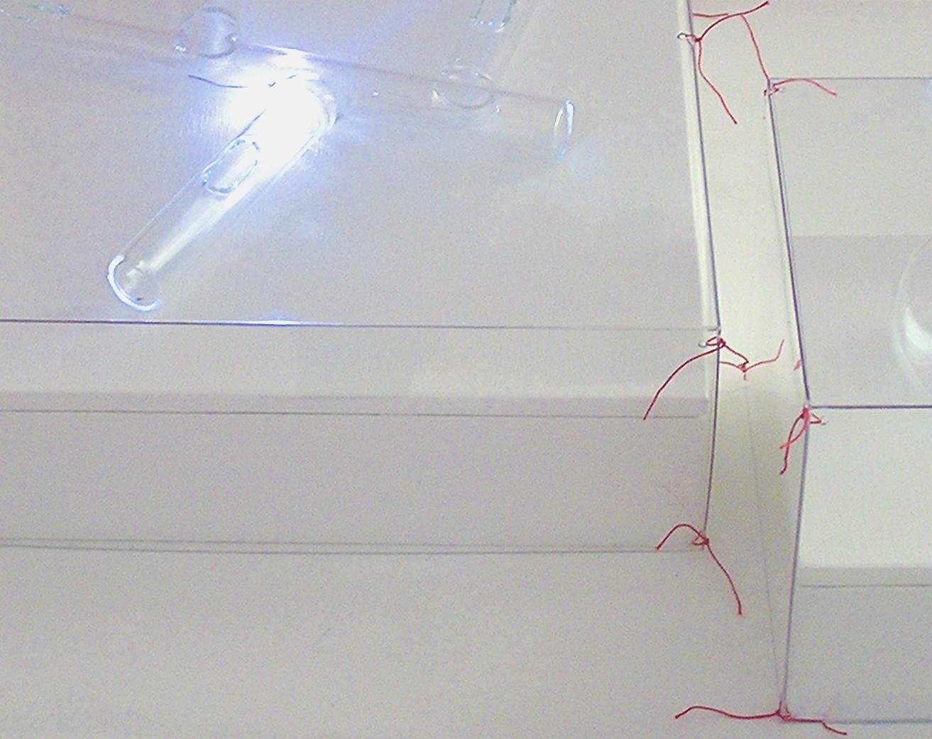 FEDERICA GONNELLI - spettro