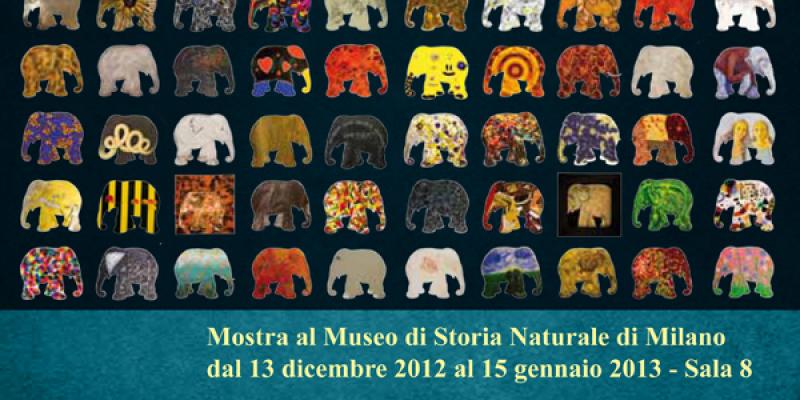 THE JOURNEY OF SULEIMAN - THE ART PROTECTS THE ASIAN ELEPHANT