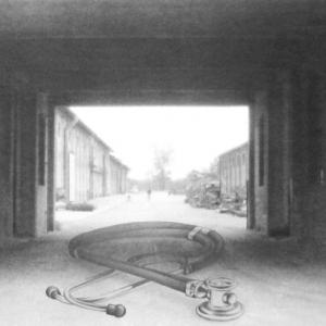 Roberta Baldaro, Posto nuovo Roberta Baldaro, Posto nuovo