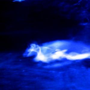 EXPO WIKI ARTE 2016 EXPO WIKI ARTE 2016