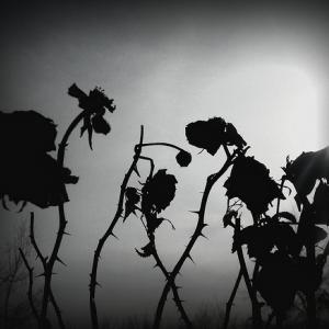 Soqquadro Factory in Veneto