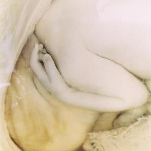 Those who have lived