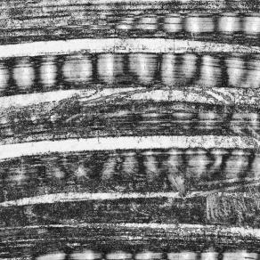 3-Una prova meno illuminata, più folgorata dall'ombra