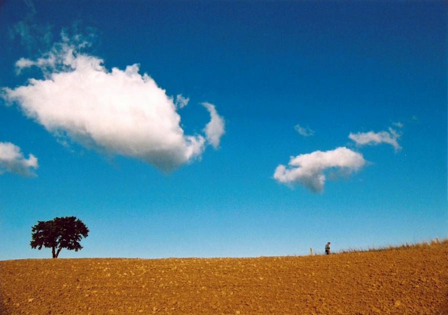 Tracce di Presenza Umana