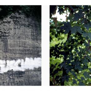 Realtà in comunicazione #1