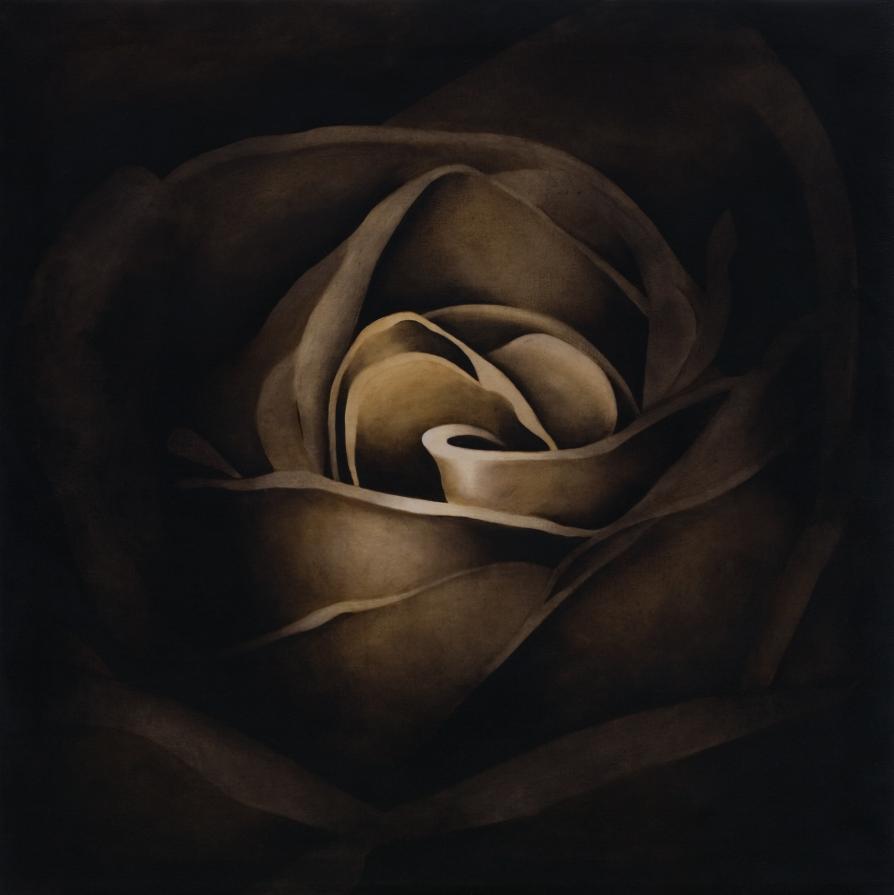 senza titolo (nel cuore della rosa)