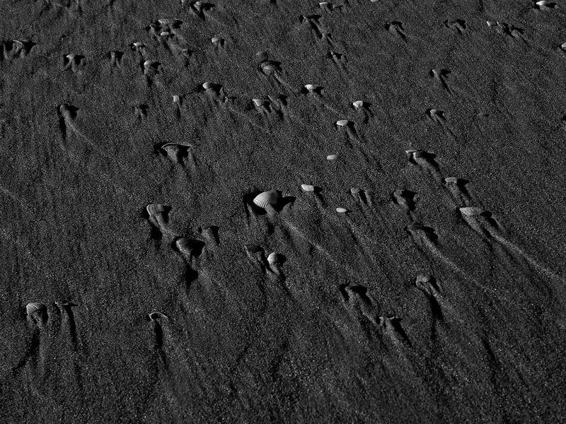 Conchiglie insabbiate