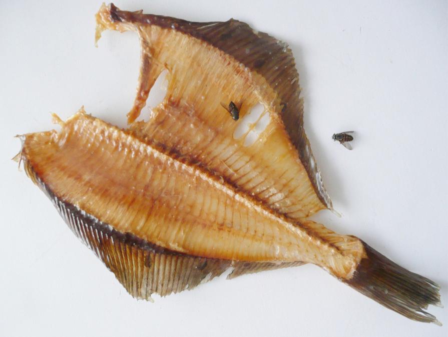 THE LAST TIME THE LAST TIME