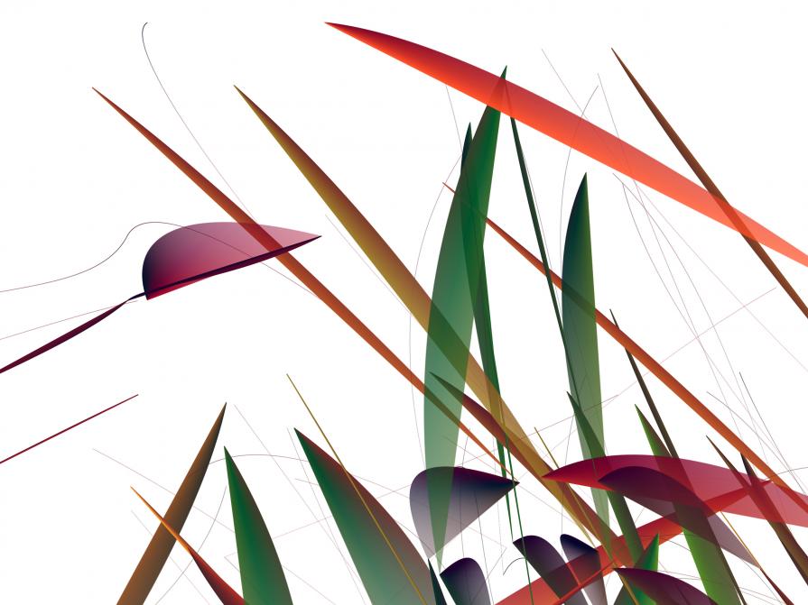 Gras 2013_01_07_16_52_31 | Hahnemühle Fine Art Textured Cotton Rag Paper