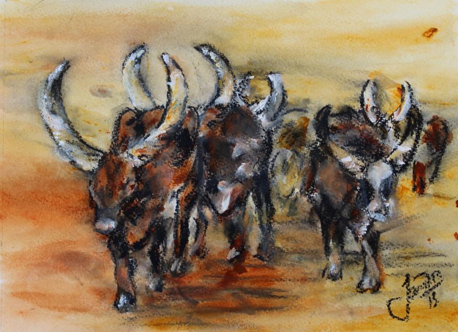 Juba Cattle