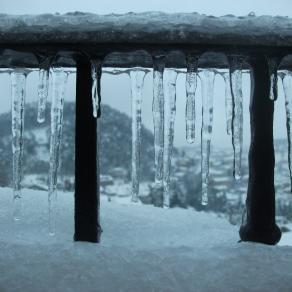 CREAZIONI INVERNALI (2013)