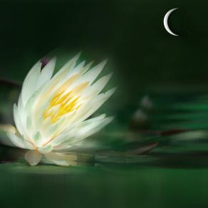 attrazzione fatale...